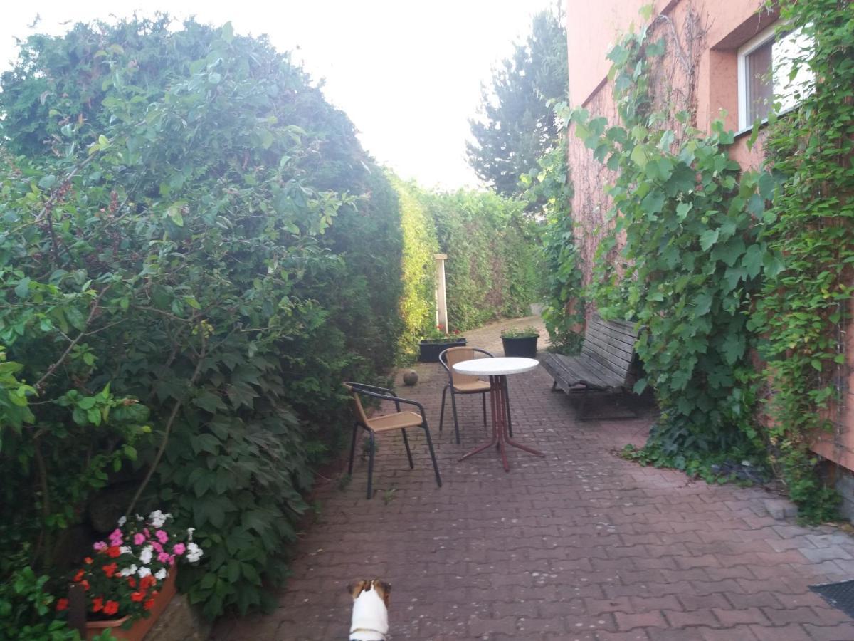 Apartman Na Skale Kostelec nad Orlici Экстерьер фото